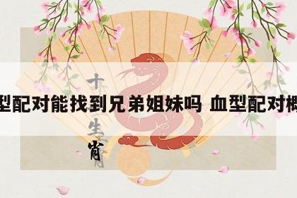 血型配对能找到兄弟姐妹吗 血型配对概率