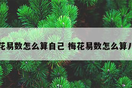 梅花易数怎么算自己 梅花易数怎么算八字