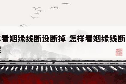 怎样看姻缘线断没断掉 怎样看姻缘线断没断掉呢