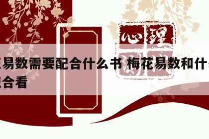 梅花易数需要配合什么书 梅花易数和什么书是配合看