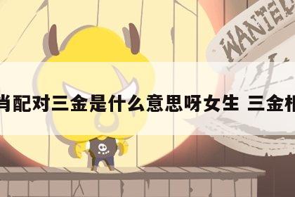 生肖配对三金是什么意思呀女生 三金相克