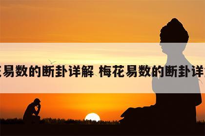 梅花易数的断卦详解 梅花易数的断卦详解图