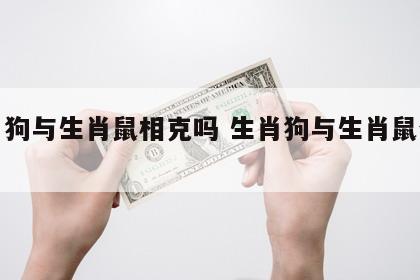 生肖狗与生肖鼠相克吗 生肖狗与生肖鼠合不合