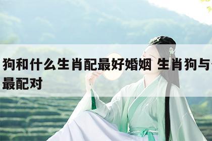 生肖狗和什么生肖配最好婚姻 生肖狗与什么生肖最配对