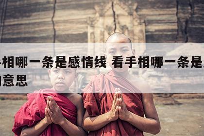 看手相哪一条是感情线 看手相哪一条是感情线的意思