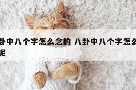 八卦中八个字怎么念的 八卦中八个字怎么念的呢