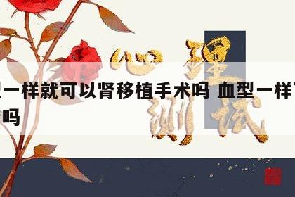 血型一样就可以肾移植手术吗 血型一样可以捐肾吗