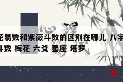 梅花易数和紫薇斗数的区别在哪儿 八字 紫微斗数 梅花 六爻 星座 塔罗