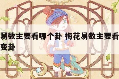 梅花易数主要看哪个卦 梅花易数主要看主卦还是变卦