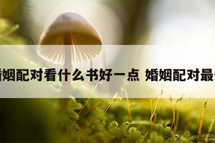 婚姻配对看什么书好一点 婚姻配对最佳