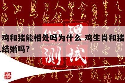 生肖鸡和猪能相处吗为什么 鸡生肖和猪生肖可以结婚吗?