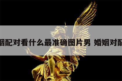 婚姻配对看什么最准确图片男 婚姻对配表