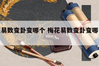 梅花易数变卦变哪个 梅花易数变卦变哪个卦象