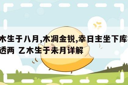 乙木生于八月,木凋金锐,幸日主坐下库根,干透两 乙木生于未月详解