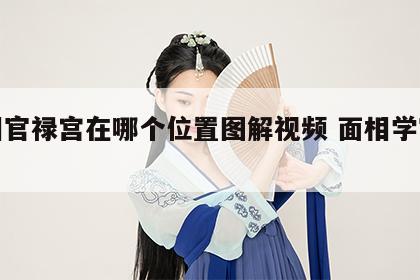 面相官禄宫在哪个位置图解视频 面相学官禄宫