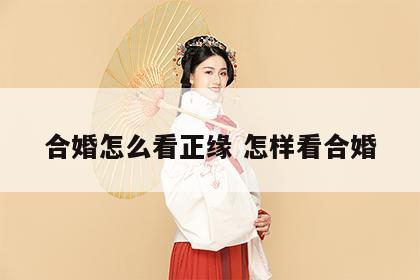 合婚怎么看正缘 怎样看合婚
