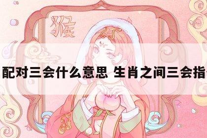 生肖配对三会什么意思 生肖之间三会指什么