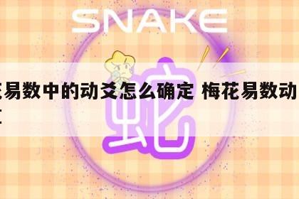 梅花易数中的动爻怎么确定 梅花易数动爻怎么算