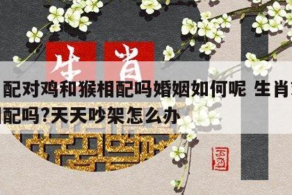生肖配对鸡和猴相配吗婚姻如何呢 生肖鸡和猴相配吗?天天吵架怎么办