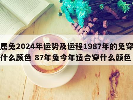 属兔2024年运势及运程1987年的兔穿什么颜色 87年兔今年适合穿什么颜色