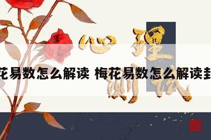 梅花易数怎么解读 梅花易数怎么解读卦象