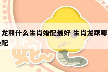 生肖龙和什么生肖婚配最好 生肖龙跟哪个生肖最配