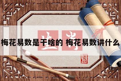 梅花易数是干啥的 梅花易数讲什么