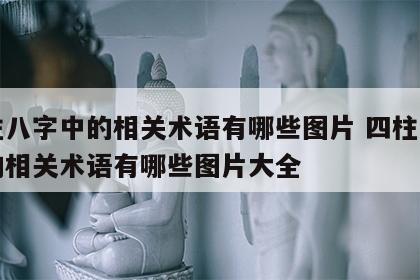 四柱八字中的相关术语有哪些图片 四柱八字中的相关术语有哪些图片大全