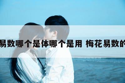 梅花易数哪个是体哪个是用 梅花易数的体用