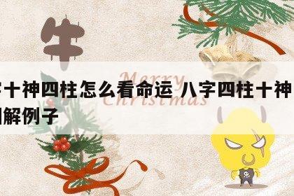 八字十神四柱怎么看命运 八字四柱十神怎么排图解例子