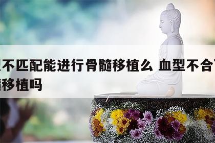 血型不匹配能进行骨髓移植么 血型不合可以骨髓移植吗