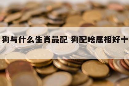 生肖狗与什么生肖最配 狗配啥属相好十二属相