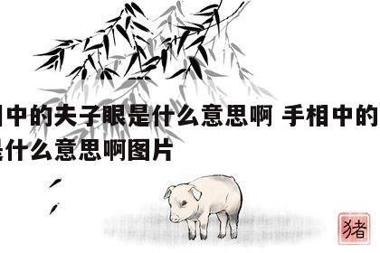 手相中的夫子眼是什么意思啊 手相中的夫子眼是什么意思啊图片