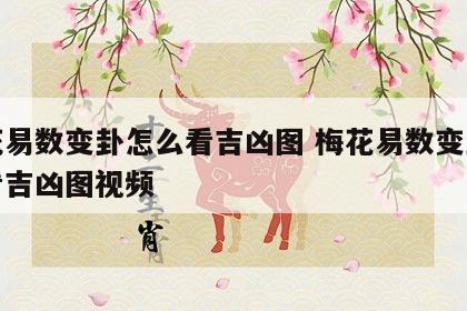 梅花易数变卦怎么看吉凶图 梅花易数变卦怎么看吉凶图视频