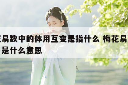 梅花易数中的体用互变是指什么 梅花易数的体用是什么意思