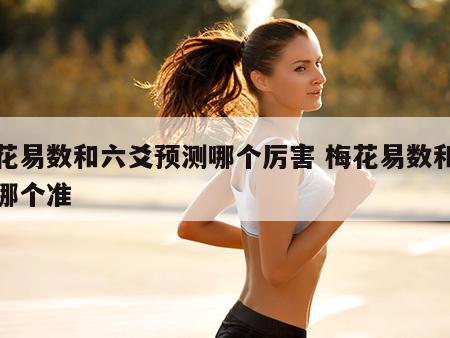 梅花易数和六爻预测哪个厉害 梅花易数和六爻哪个准