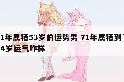 71年属猪53岁的运势男 71年属猪到了54岁运气咋样