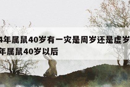 84年属鼠40岁有一灾是周岁还是虚岁 84年属鼠40岁以后