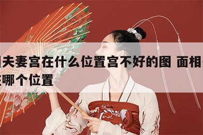 面相夫妻宫在什么位置宫不好的图 面相夫妻宫在哪个位置