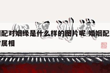 婚姻配对姻缘是什么样的图片呢 婚姻配婚姻配对属相