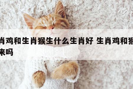 生肖鸡和生肖猴生什么生肖好 生肖鸡和猴合得来吗