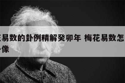 梅花易数的卦例精解癸卯年 梅花易数怎么解读卦像