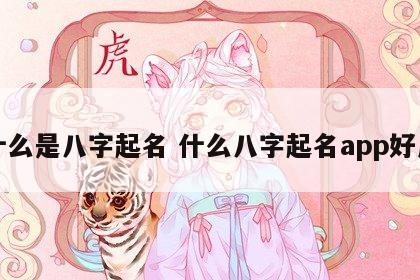 什么是八字起名 什么八字起名app好用