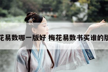 梅花易数哪一版好 梅花易数书买谁的版本