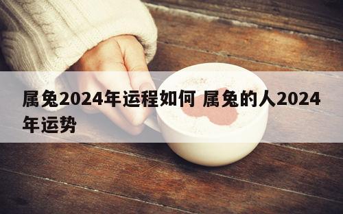 属兔2024年运程如何 属兔的人2024年运势