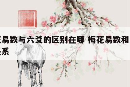 梅花易数与六爻的区别在哪 梅花易数和六爻的关系