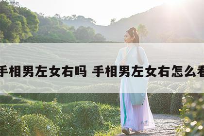 手相男左女右吗 手相男左女右怎么看