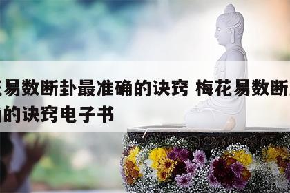 梅花易数断卦最准确的诀窍 梅花易数断卦最准确的诀窍电子书