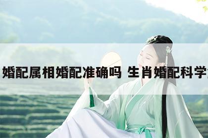 生肖婚配属相婚配准确吗 生肖婚配科学解释