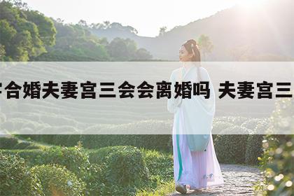 八字合婚夫妻宫三会会离婚吗 夫妻宫三合宫位